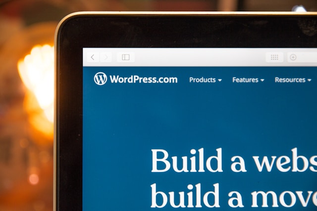 Premium WordPress Webdesign Ismaning